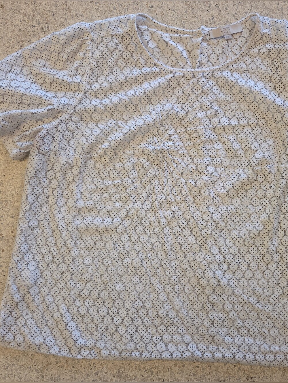 LOFT Plus Cream Eyelet Lace Black Dots Short Sleeve Top Womens 20